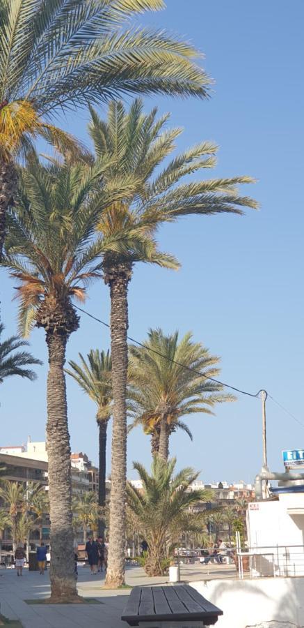 Costa Blanka Resident Apartman تورّيفيِخا المظهر الخارجي الصورة